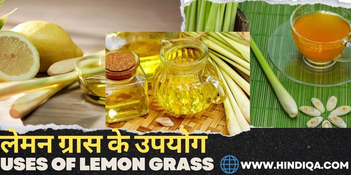 Uses of Lemon Grass